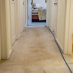 carpet cleaning in greeley, co