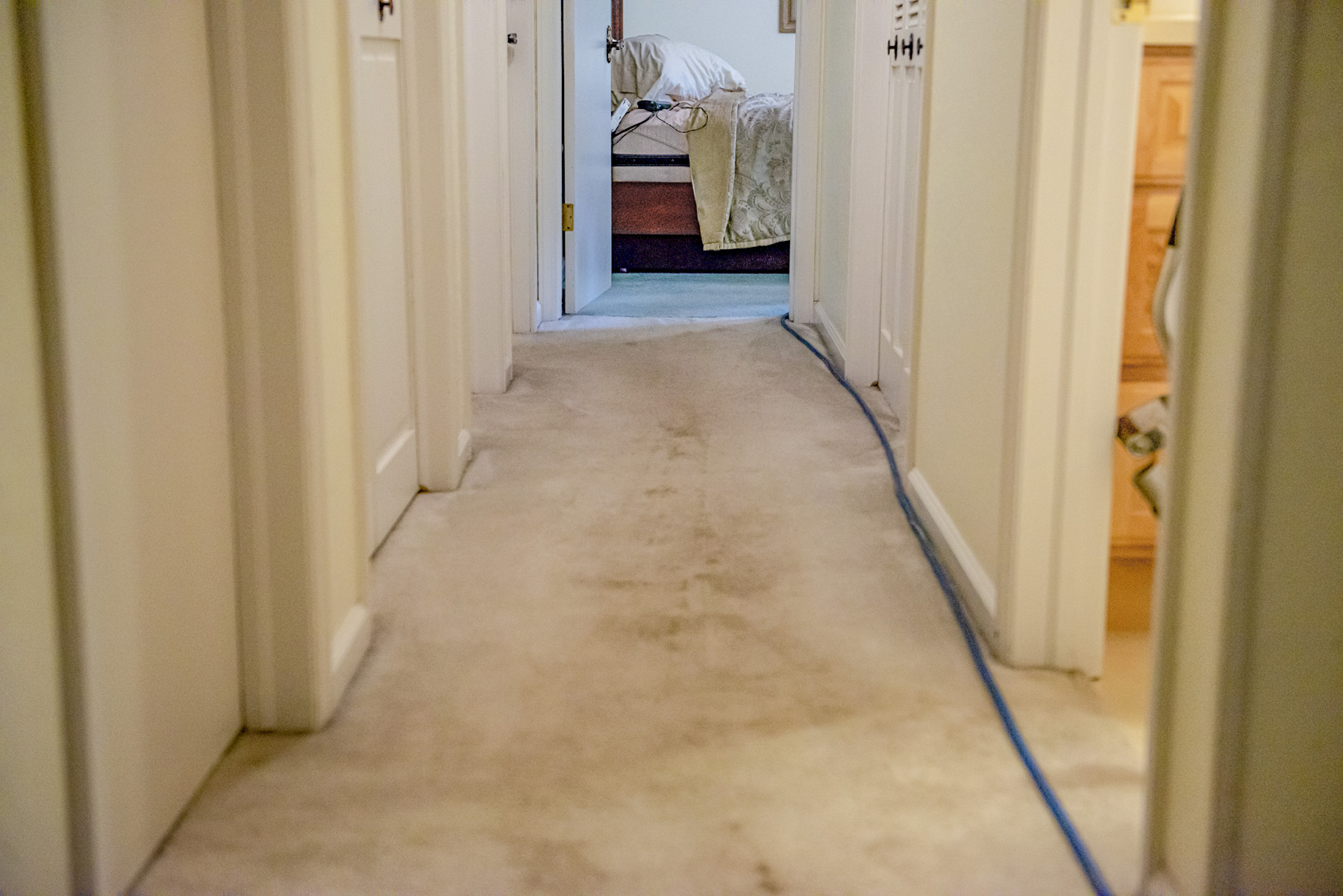 carpet cleaning in greeley, co