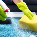 professional carpet cleaning