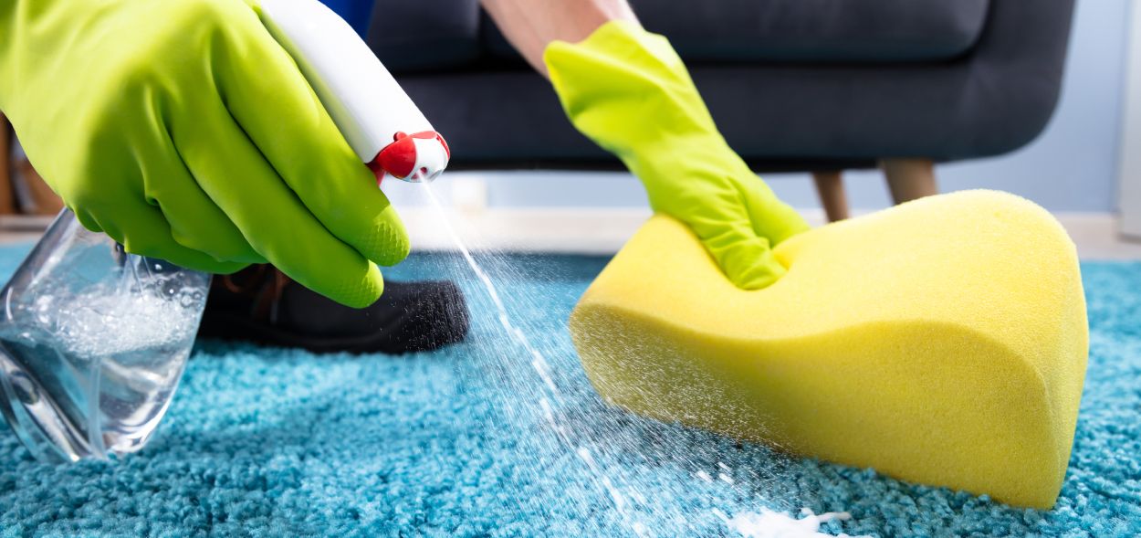 professional carpet cleaning
